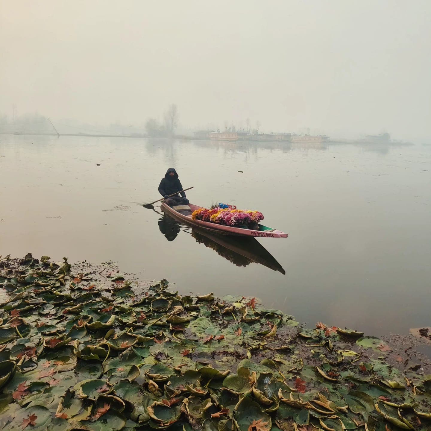 shikara on dal lake — a floating flower market, the og farmers' market served on water