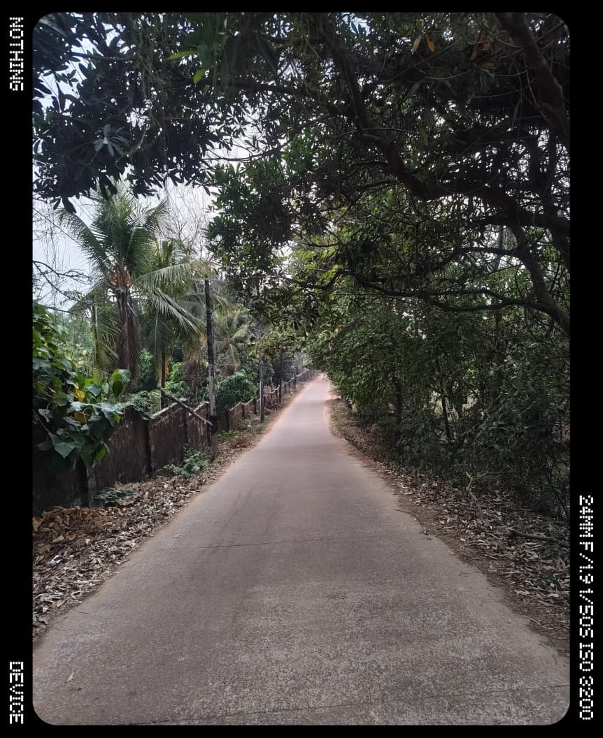 empty roads near iit hyderabad at an hour when the campus is still asleep